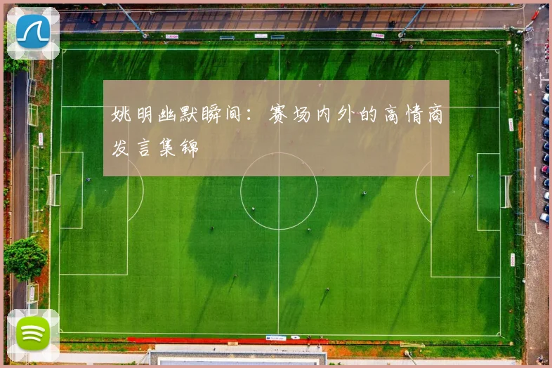 姚明幽默瞬间：赛场内外的高情商发言集锦