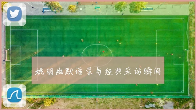 姚明幽默语录与经典采访瞬间